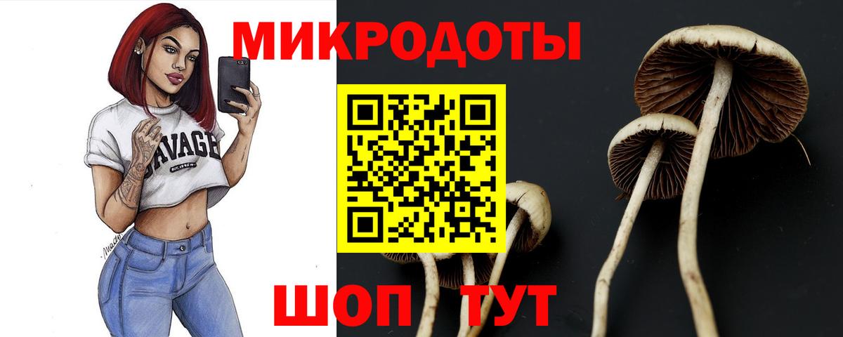 Губкин  Псилоцибиновые грибы Magic Shrooms  Вход с VPN 